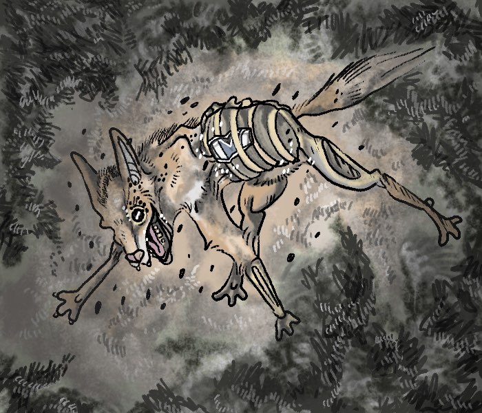 An illustration of a coyote corpse, splayed out with its mouth open in an eternal yell. It's semi-obscured by shadow. 