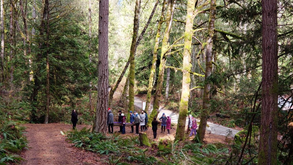 People carry a green burial casket to his burial spot in British Columbia. 